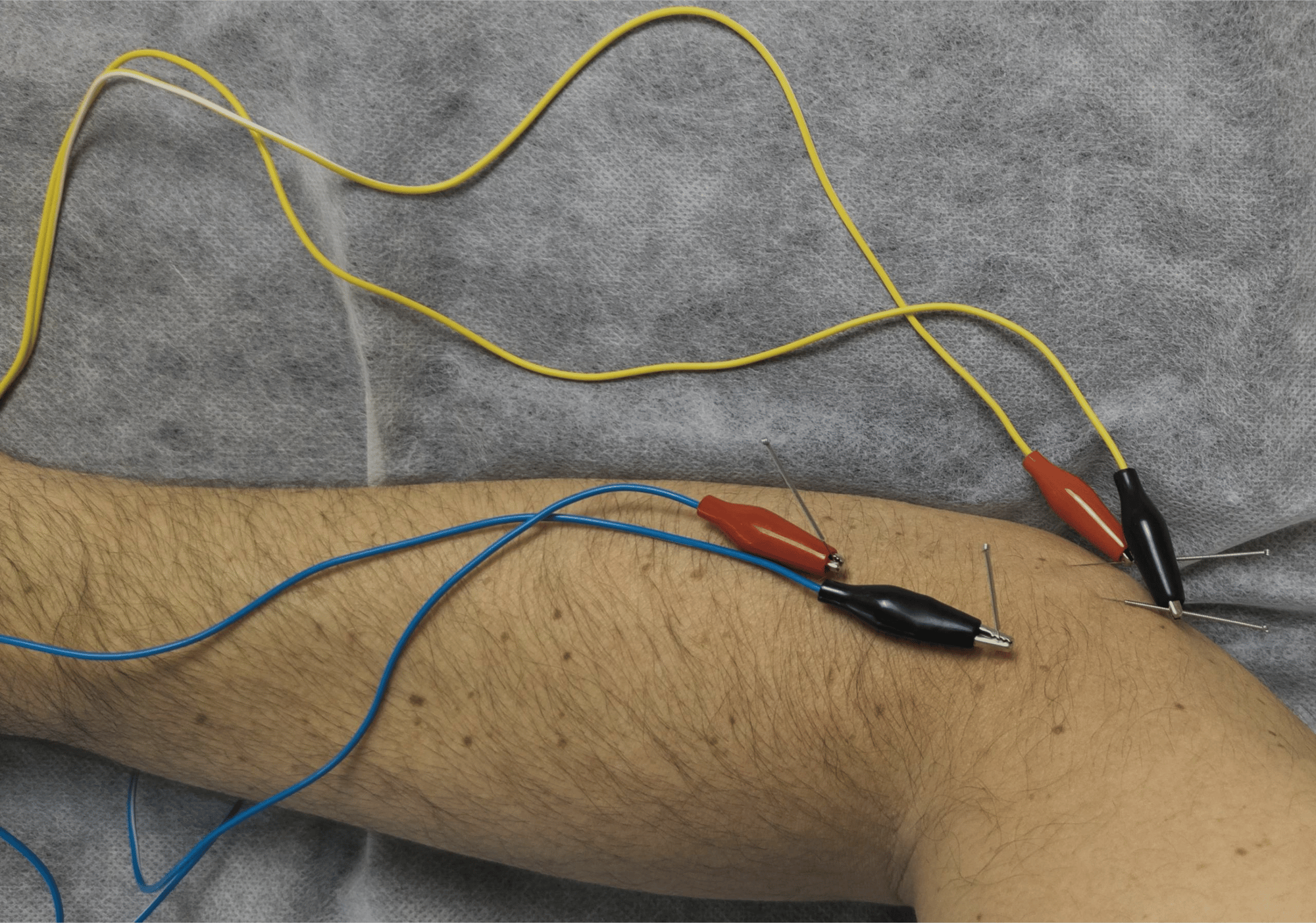 Untitled design (43)